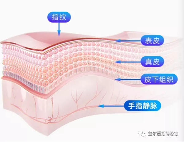 玺尔盾指静脉锁告诉您给老年人购买智能锁需要注意什么